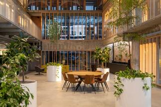 The (in)formal office spaces of Mlynice interweave the industrial atmosphere with greenery