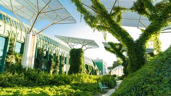 The best green roofs of 2024 were awarded in Bratislava