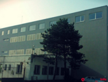 Offices to let in Trnavská cesta 110/B