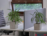 Offices to let in OFFIZONE boutique offices