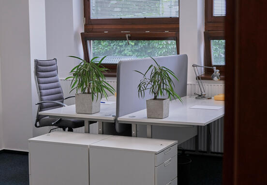 KANCELÁRIA NA DEŇ - OFFICE D 1.2